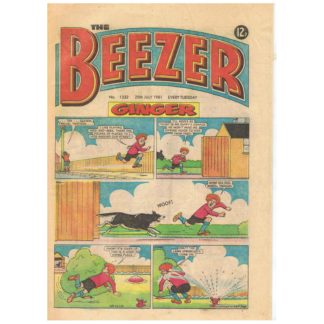 25th July 1981 - The Beezer